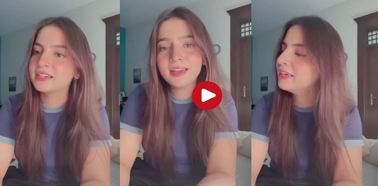 Dananeer Mobeen wins social media with her soulful voice