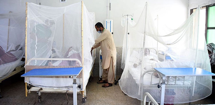 Karachi reports another 277 dengue cases