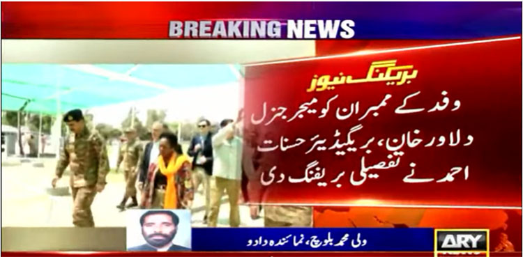 US delegation visits flood-hit areas in Sindh