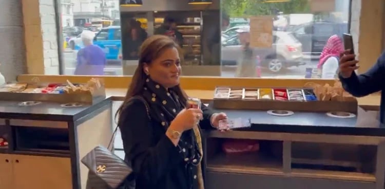 Harassment of Marriyum Aurangzeb: PML-N mulls legal action against Pakistanis