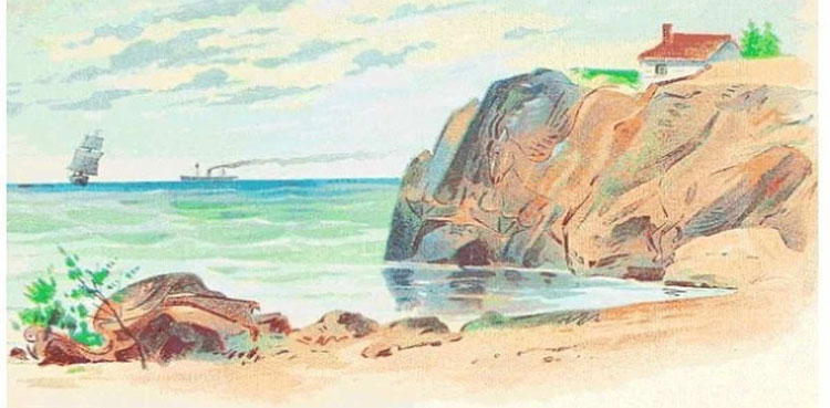 Can you find the four animals hidden inside this optical illusion?