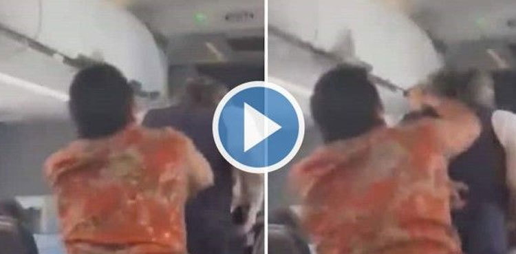 Passenger punches flight attendant after argument, video goes viral