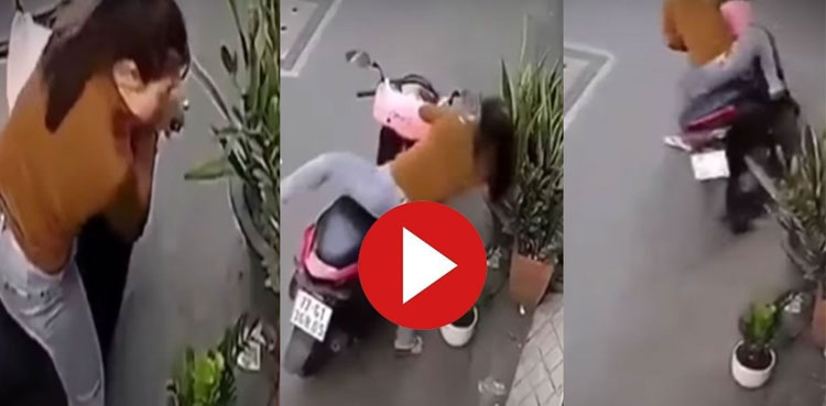 Viral: Plant thief girl gets instant karma, WATCH