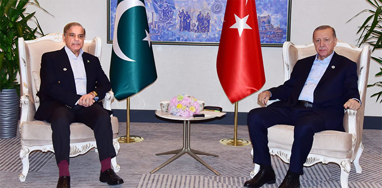 PM Shehbaz Sharif meets Turkiye President Tayyip Erdogan on SCO sidelines