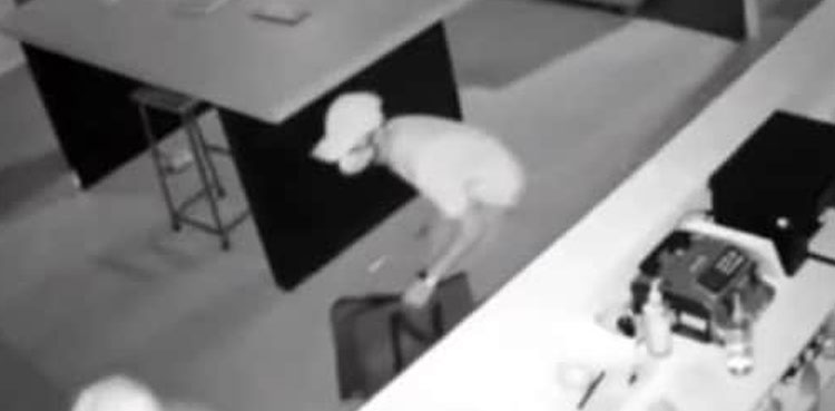 Viral video: Thieves steal 25 mobile phones as guards sleep