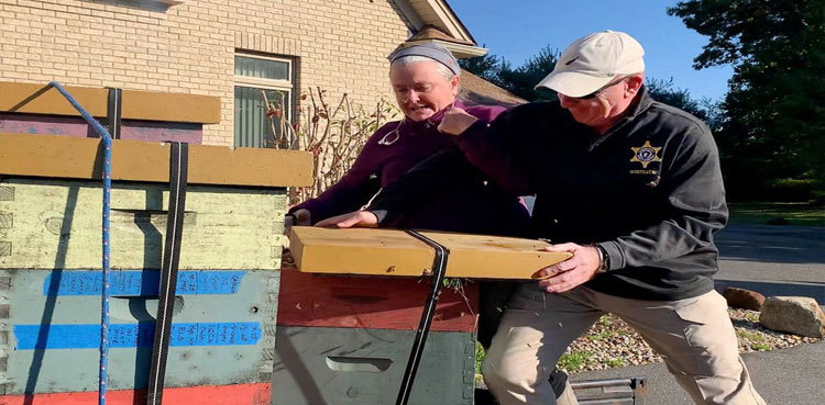 Massachusetts woman accused of assaulting officers with swarm of angry bees