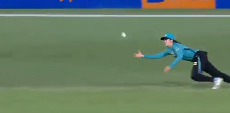 Brisbane Heat's Charli Knott takes amazing catch, video goes viral