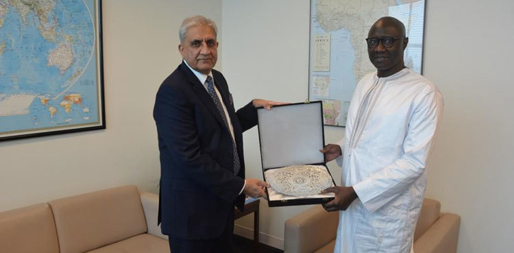 COAS Bajwa, UN military advisor discuss regional security in US meeting