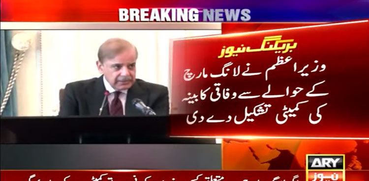 PM Shehbaz Sharif forms committee to tackle Long March, hold talks