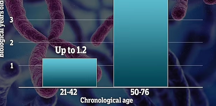Men age faster than woman - Biological experts reveal