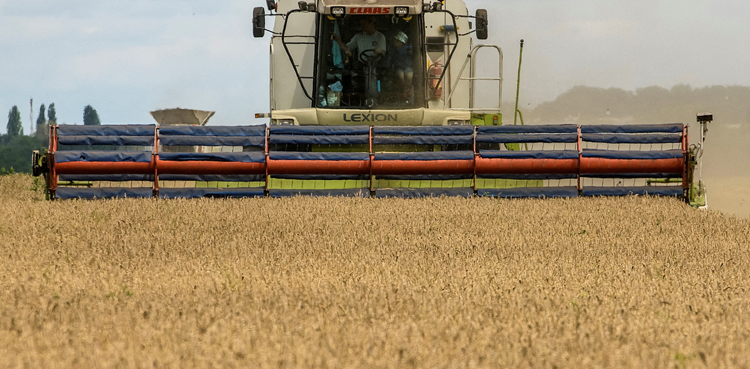 Russia halts Ukraine Black Sea grain exports, Biden outraged