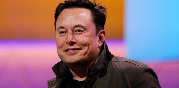 Elon Musk tells Tesla workers not to be 'bothered by stock market craziness'