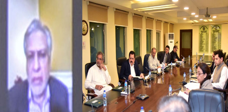 ECC approves Rs20.2 billion for SAP, flood-hit farmers