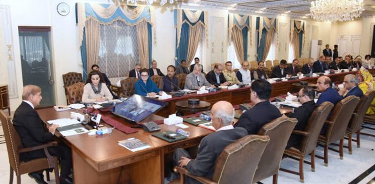PM Shehbaz Sharif calls for constituting expert committee on climate change