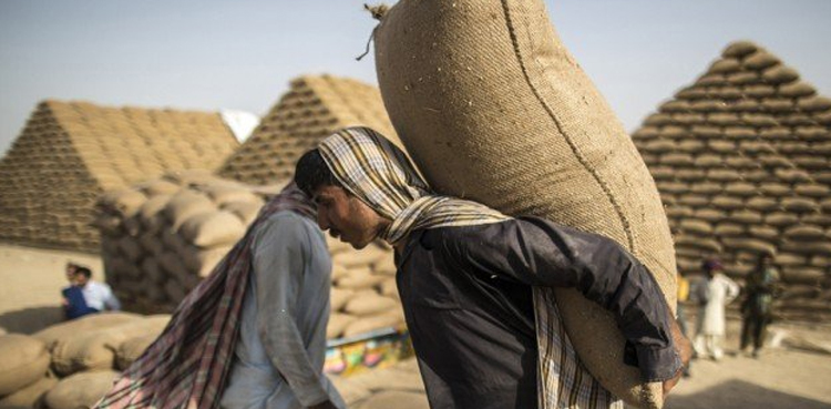 Punjab: Measures taken to curb inter-provincial flour smuggling