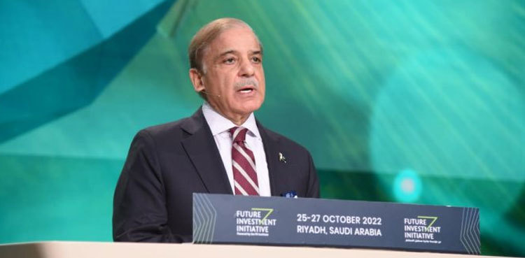 PM Shehbaz Sharif calls for combined efforts to tap clean energy resources