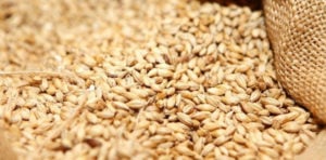 Wheat scandal: Balochistan CM summoned by BHC