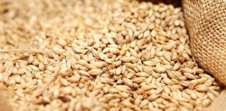 Wheat scandal: Balochistan CM summoned by BHC