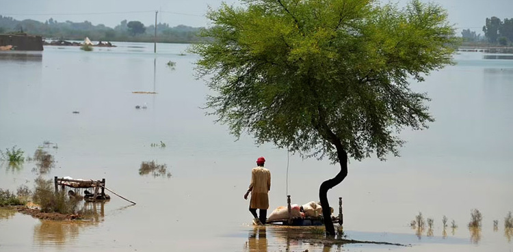 China to fund for homes to Pakistan's flood-hit health workers