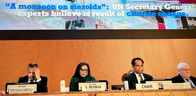 Pakistan, UN launches fresh appeal of over $800m for flood victims