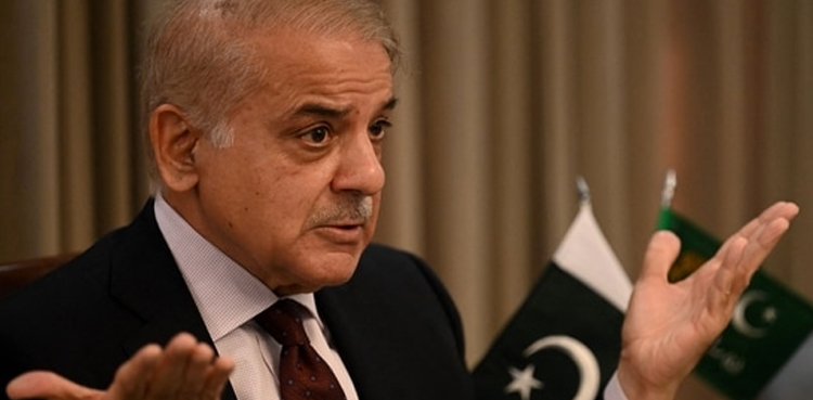 PM Shehbaz Sharif seeks ‘climate justice’ from rich nations