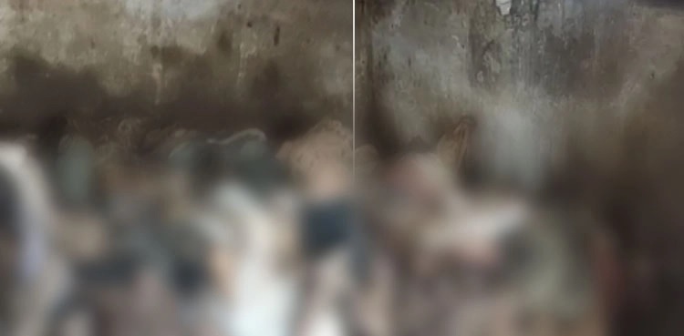 Punjab CM takes notice of Nishtar hospital bodies scandal