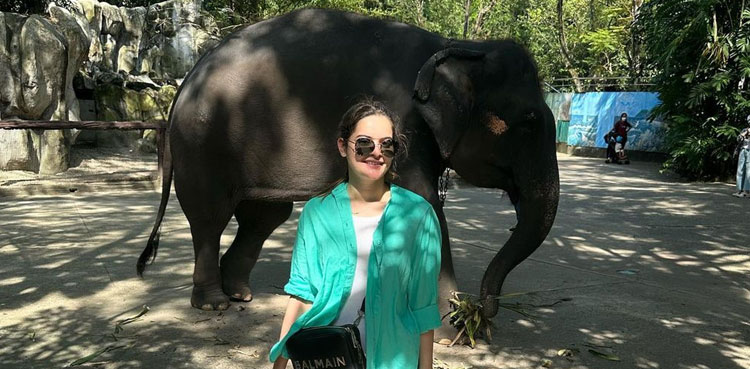 Minal Khan shares pictures, video of Safari trip with husband