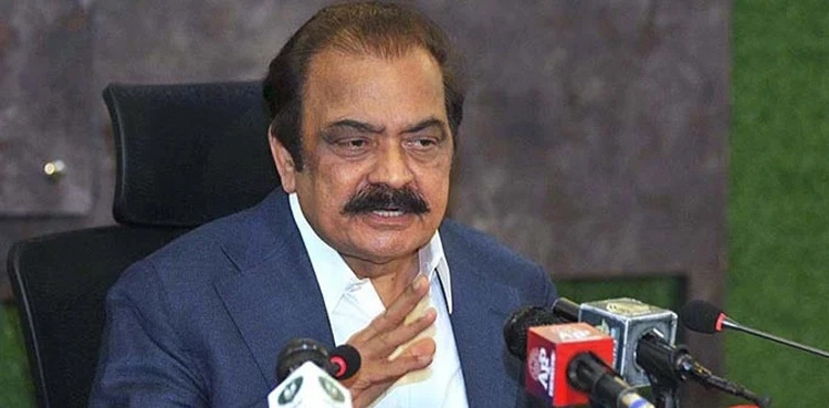 Court accepts Rana Sanaullah’s plea against arrest warrant