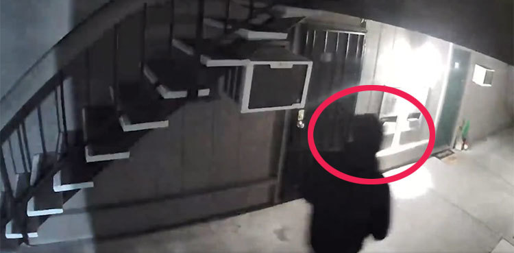 Video of serial killer 'on a mission' released after 6 murders