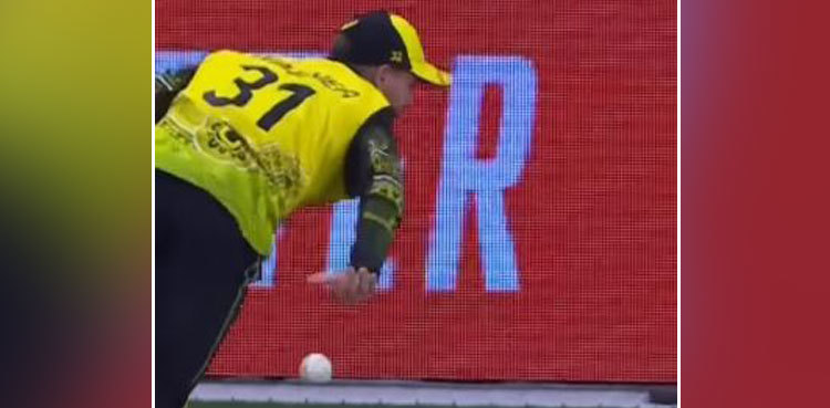 T20 World Cup: David Warner saves six with amazing dive, video goes viral