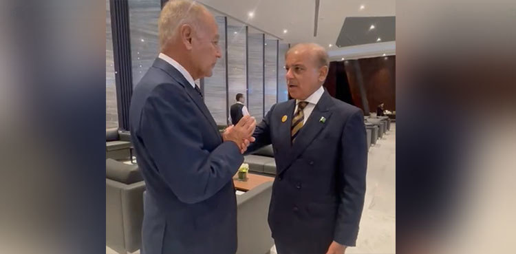 PM Shehbaz Sharif meets secretary-general Arab League