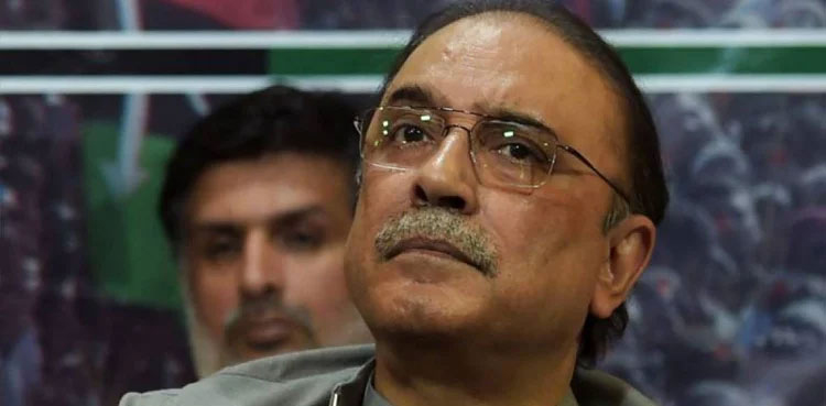 ‘No-trust move, governor’s rule’: PML-N delegation meets Asif Ali Zardari