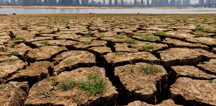 COP27 puts climate compensation on agenda for first time