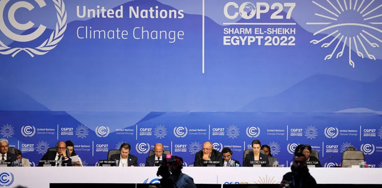 Countries adopt COP27 deal with 'loss and damage' fund