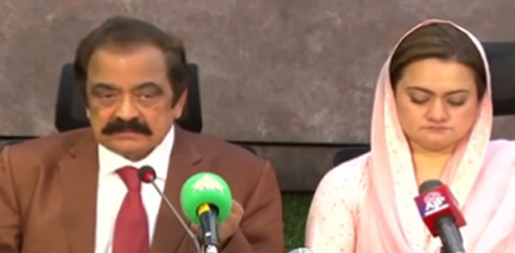 JIT should be constituted to hold transparent probe: Rana Sanaullah