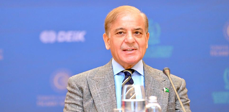 PM Shehbaz invites Turkish investment in mega solar project