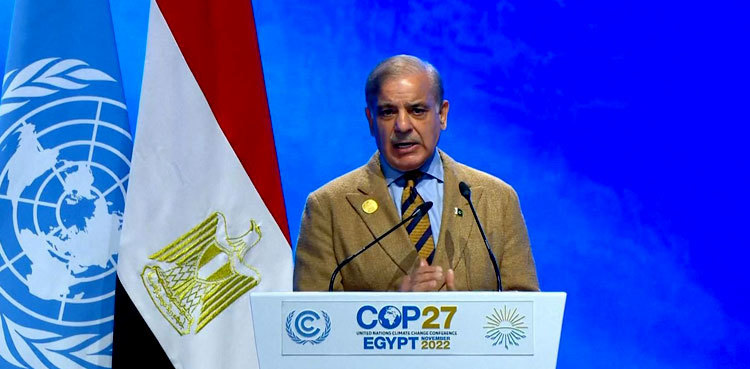 Global fund deal 'pivotal step' for climate justice, says PM Shehbaz Sharif