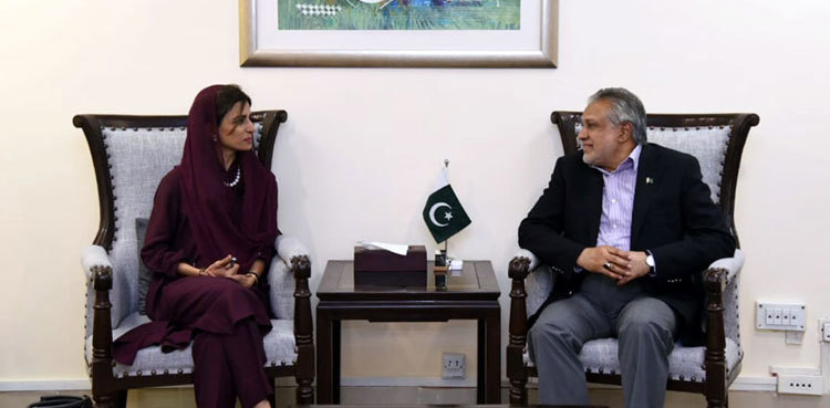 Ishaq Dar, Hina Rabbani Khar discuss agenda for Afghanistan visit