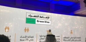 How to Apply for UAE Green Visa