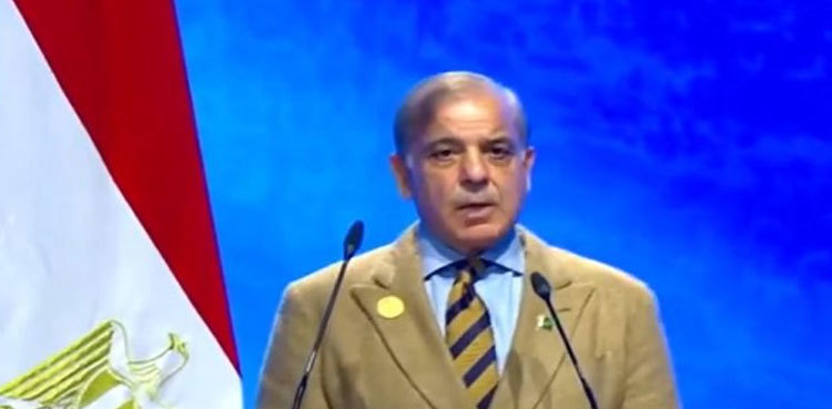 PM Shehbaz sensitises world on plight of flood-hit Pakistan