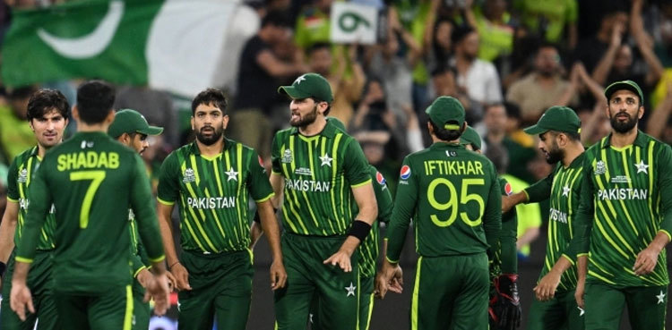 ‘What a fight’: Nation lauds Pakistan team despite World Cup final heartbreak
