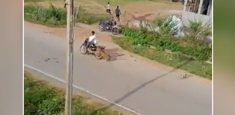 Leopard causes panic by attacking people, video goes viral