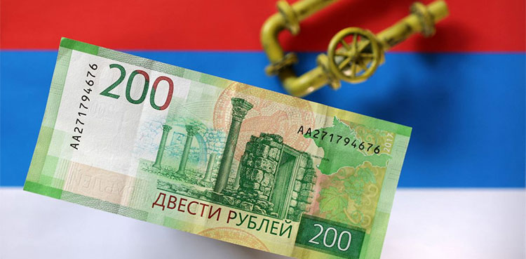 Turkey pays for some Russian gas in roubles