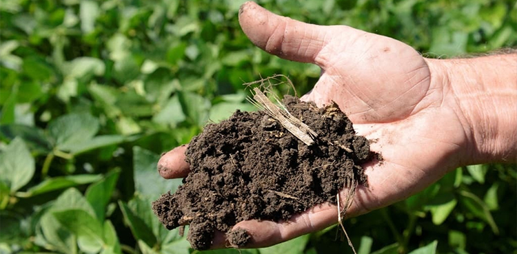 ECC greenlights import of 160,000 metric tons of fertilizers