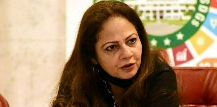 Aisha Ghaus Pasha rules out economic emergency, Rs800b taxes