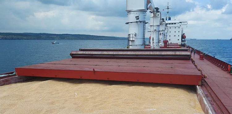 UN names new coordinator for Black Sea grain initiative