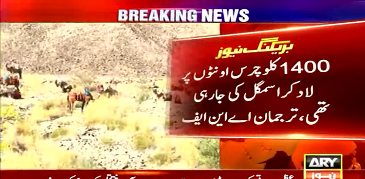 ANF seizes 1400 KG hashish in Gwadar raid