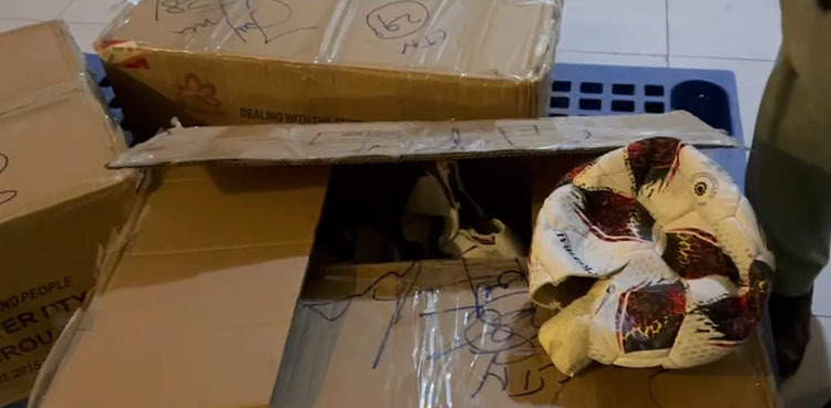 Heroin hidden in footballs confiscated at Islamabad airport