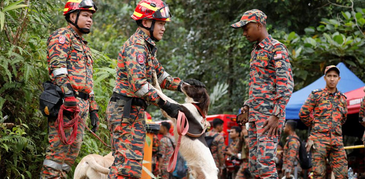 Four dead, eight missing in China landslide after heavy rain