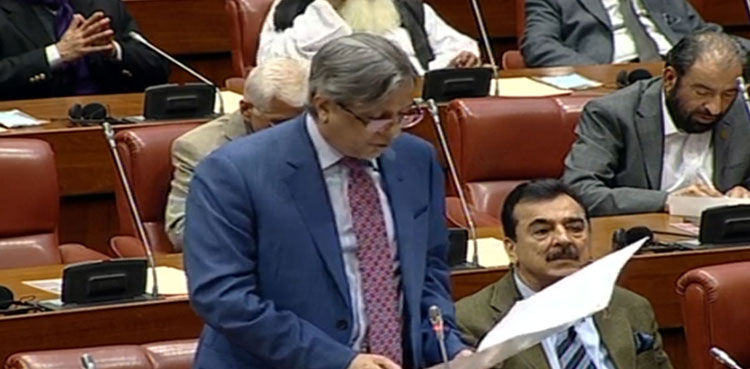 Reko Diq project: Senate passes Foreign Investment Protection Bill